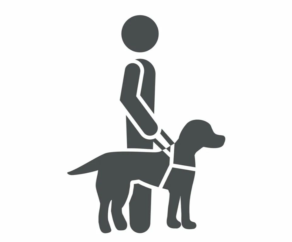 Ежегодная денежная выплата гражданам, являющимся инвалидами по зрению, получившим собаку-проводника